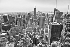 �������� ����� ������-�����-������� 16102