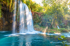 �������� �������� 13244